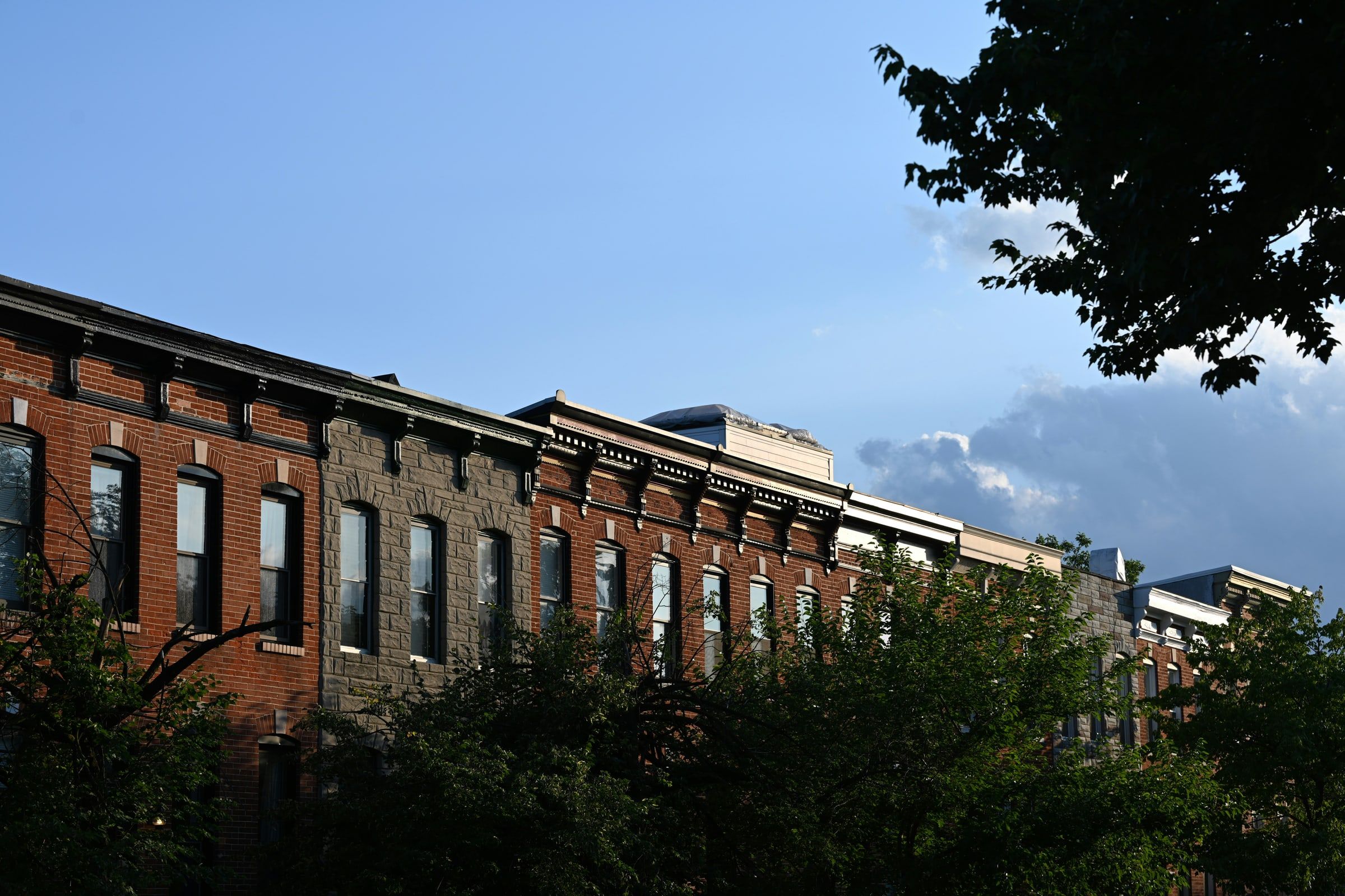 Row of brick and formstone rowhouses with ornate cornices above green treetops against a blue sky