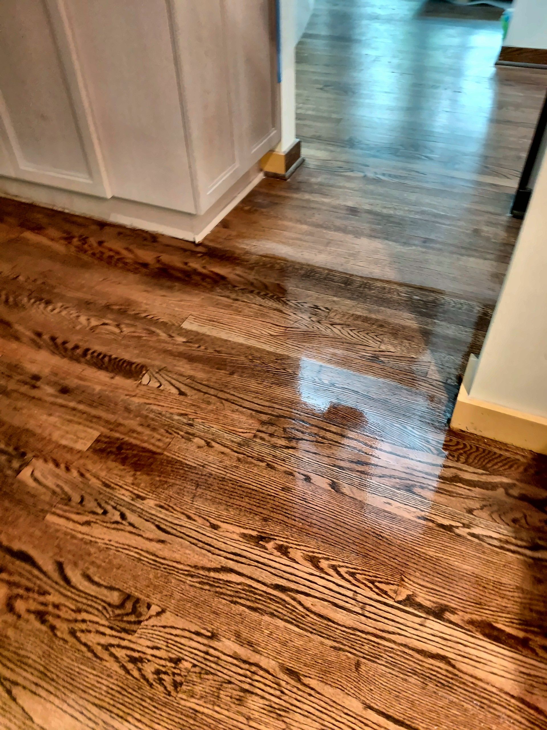 Refinished glossy oak hardwood floor in a hallway